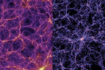 A split-image comparison showing two visually similar structures. The left side depicts a detailed view of neural networks in the human brain, with glowing nodes and purple filaments. The right side shows the cosmic web, showcasing the large-scale structure of the universe with bright nodes and blueish-purple threads connecting them. This highlights the striking resemblance between neural connections and the cosmic web, emphasizing the interconnected and intricate nature of these vastly different yet visually analogous systems​