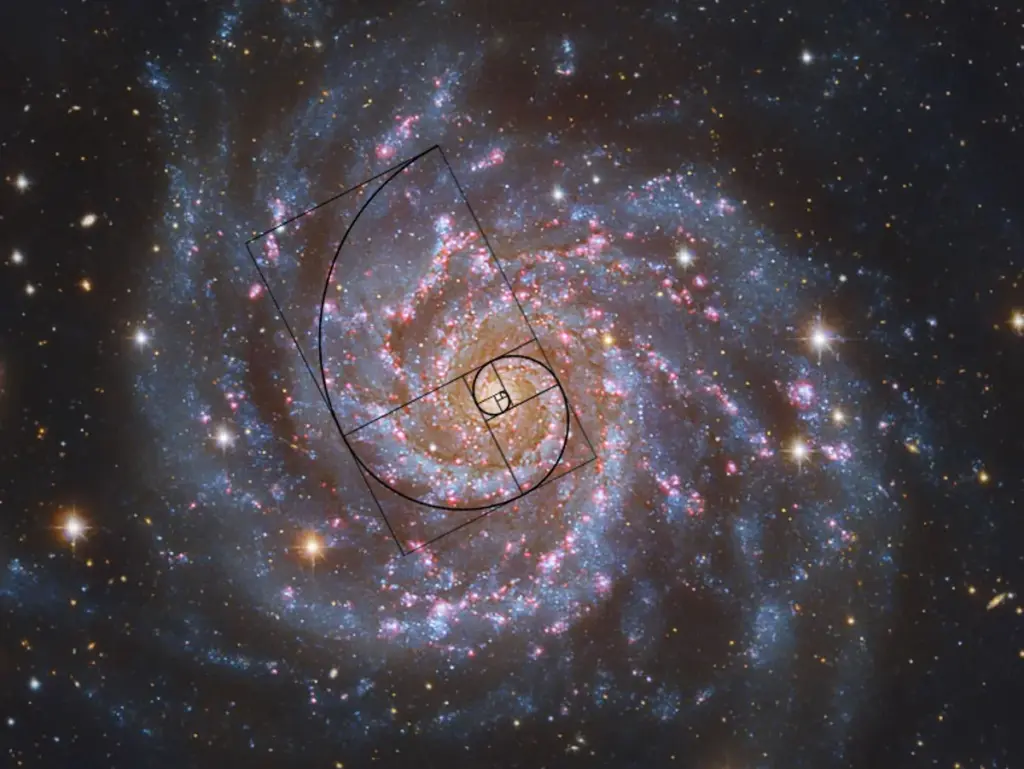 An overlay image highlighting the spiral patterns in a galaxy and a nautilus shell. The image features a spiral galaxy with glowing arms of stars and interstellar dust, overlaid with the golden ratio spiral for emphasis. The nautilus shell's logarithmic spiral structure is subtly integrated into the galaxy's spiral, illustrating the recurring spiral pattern in both cosmic and biological forms. This visual connection emphasizes the universal presence of the spiral pattern across different scales of nature.